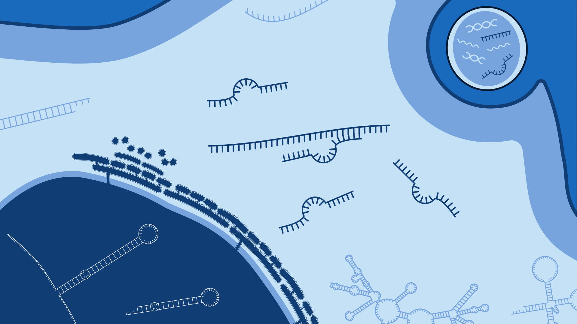 miRNA resource center: Solutions for miRNA research